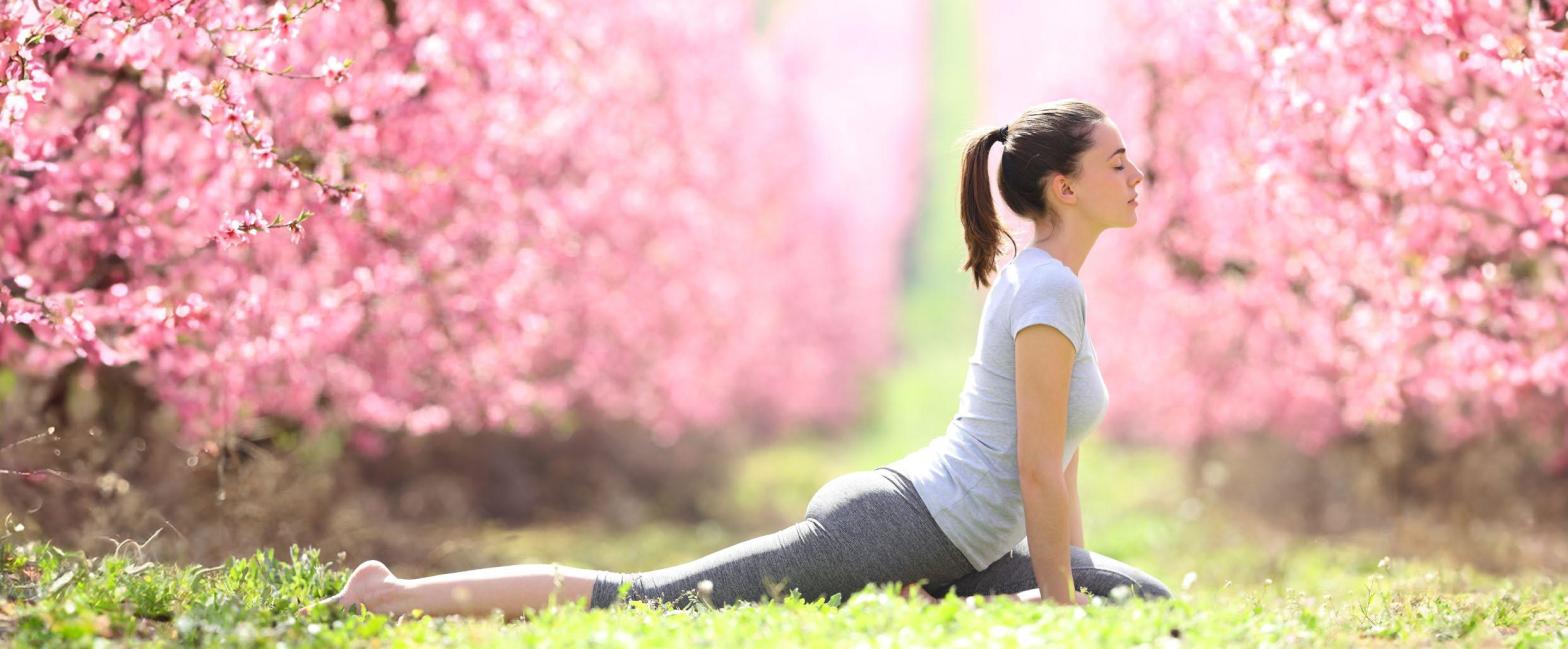 Elevating Your Daily Rhythm: The Ultimate Guide to Cultivating "Health Vibes"